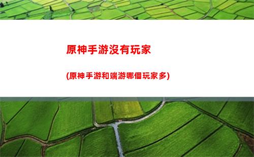 原神松樹(原神松樹在哪里砍)
