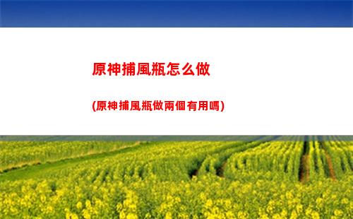 原神百貨奇貨都是什么東西
