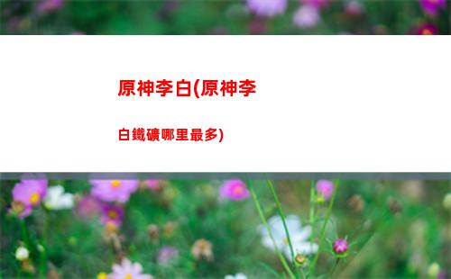 原神里是神(原神神里綾華)
