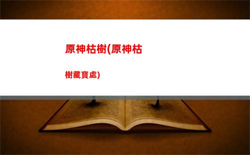 原神論五星(原神論經位置)