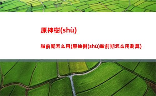 原神送5星(原神送5星角色埃洛伊值得培養(yǎng)嗎)