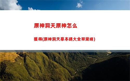 原神成語(原神成語意思)