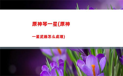 原神日角色升級(原神每個角色都要升級嗎)