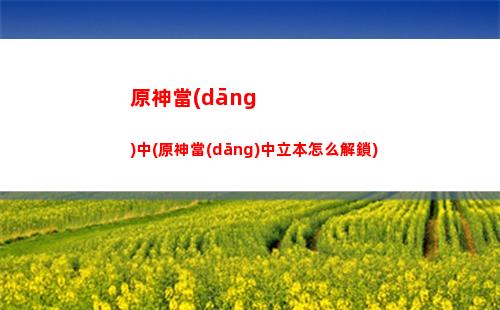 原神ac(原神ace是大畢業(yè)嗎)