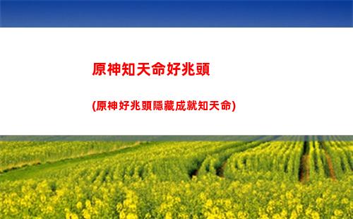原神中路(原神中路子在哪里)