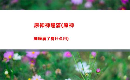 原神神奇的(原神神奇的霍普金斯)