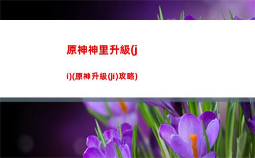 原神神手游(原神手游怎么樣)