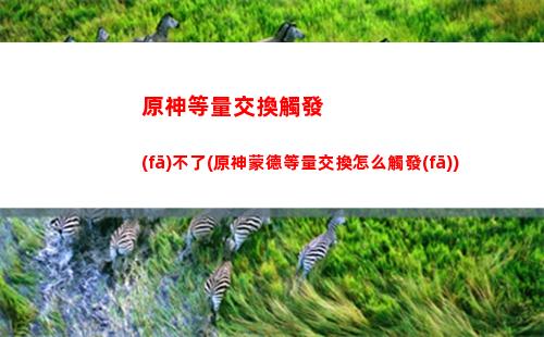 原神菲謝爾陣容武器(原神 菲謝爾 武器)