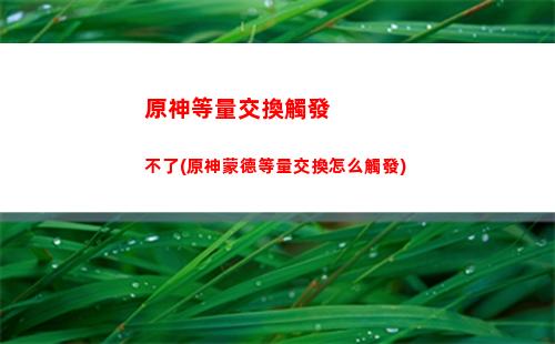 原神菲謝爾陣容武器(原神 菲謝爾 武器)