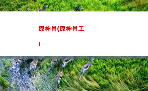 原神下個版本更新內容(原神下個版本是什么角色)
