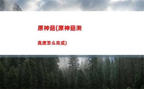 原神公子主c圣遺物(原神公子畢業圣遺物)