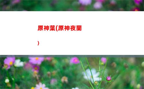 原神一件套(原神一件套圣遺物有哪些)