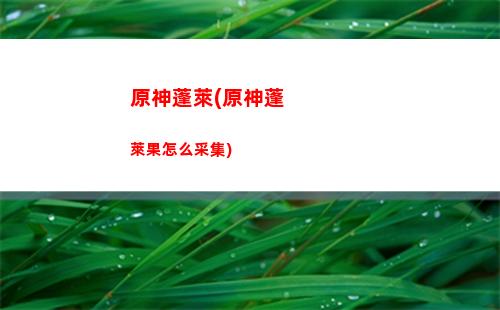 原神銘刻(神之意向不能銘刻)
