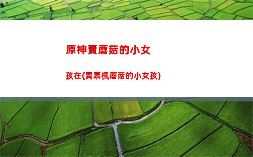 原神5星雷(原神5星雷系角色排行)