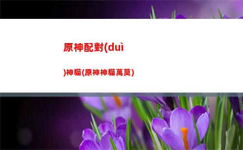 原神莫娜核(原神莫娜核爆傷害取決誰)
