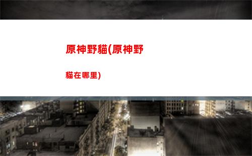 手機原神與電腦原神操作(原神電腦賬號怎么在手機上登錄)