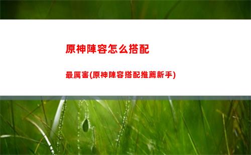 原神祝圣秘境怎么打(原神祝圣秘境三和四區(qū)別)