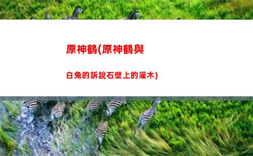 原神好睡族(原神好睡族機關)