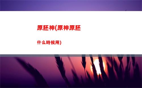 藥師原神(原神藥師的筆記本)