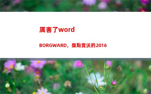 厲害了word BORGWARD，盤點寶沃的2016