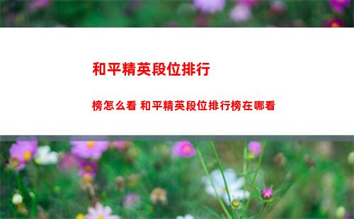 和平精英段位排行榜怎么看 和平精英段位排行榜在哪看