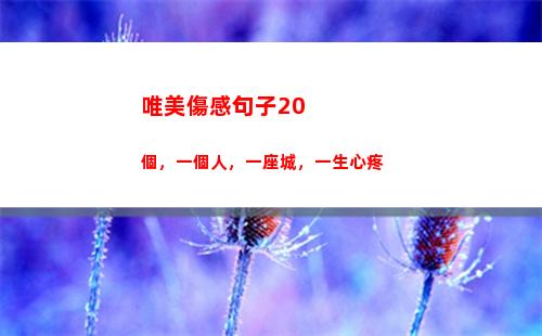 唯美傷感句子20個，一個人，一座城，一生心疼(唯美傷感句子摘抄古風)