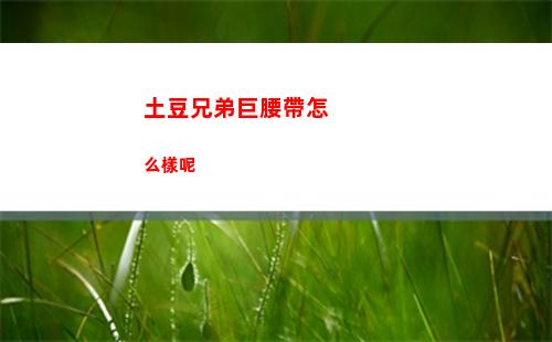 土豆兄弟巨腰帶怎么樣呢