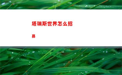 塔瑞斯世界怎么招募