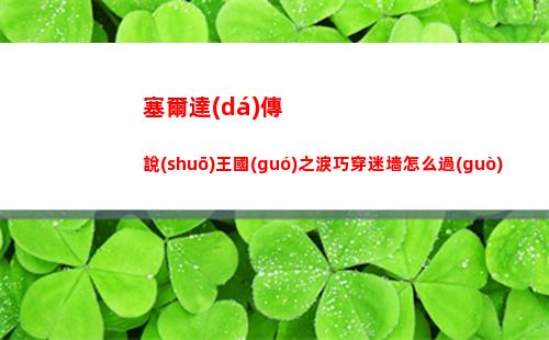 塞爾達(dá)傳說(shuō)王國(guó)之淚巧穿迷墻怎么過(guò)