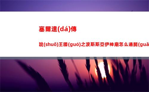 塞爾達(dá)傳說(shuō)王國(guó)之淚斯斯亞伊神廟怎么通關(guān)