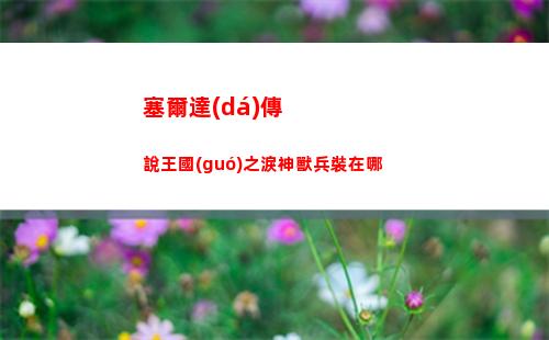 塞爾達(dá)傳說王國(guó)之淚果然還是要里脊巖鼓咯任務(wù)怎么做