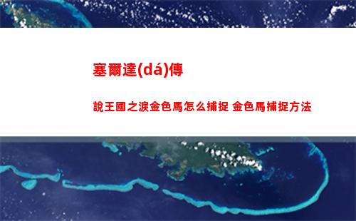 塞爾達(dá)傳說王國之淚金色馬怎么捕捉 金色馬捕捉方法