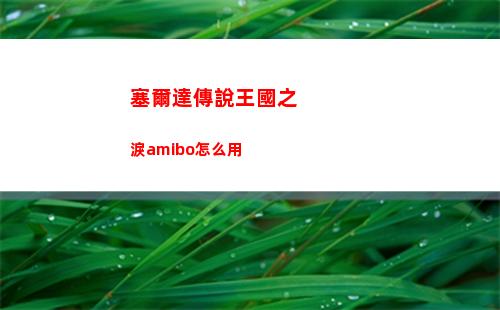 塞爾達傳說王國之淚amibo怎么用