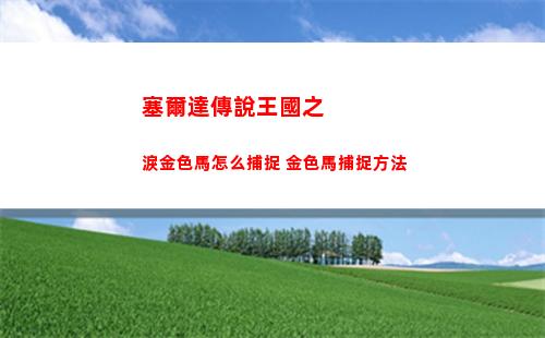 塞爾達傳說王國之淚金色馬怎么捕捉 金色馬捕捉方法