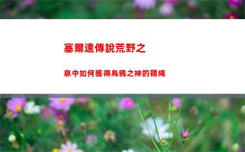 王國之淚數字版多少錢
