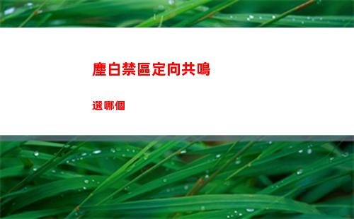 白夜極光四天使人物介紹