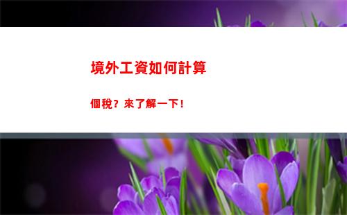 省錢秘笈：輕松計算個人所得稅，少交多退！