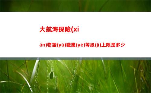 大航海探險(xiǎn)物語(yǔ)職業(yè)等級(jí)上限是多少