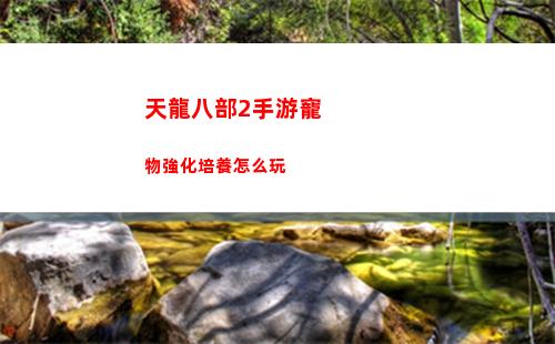 完美小姐她又沒猜到結局第一章第四關怎么過