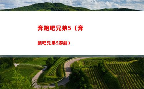 奔跑吧兄弟5（奔跑吧兄弟5游戲）