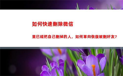 如何快速刪除微信里已經把自己刪掉的人，如何單向恢復被刪好友？(如何快速刪除微信賬單)