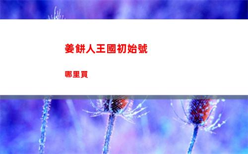 姜餅人王國初始號哪里買