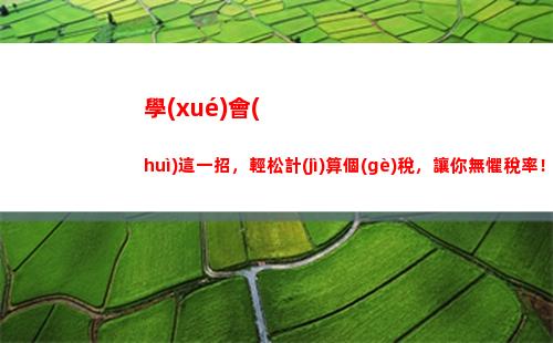 個(gè)人所得稅匯算補(bǔ)稅(個(gè)人所得稅匯算補(bǔ)稅典型案人列)