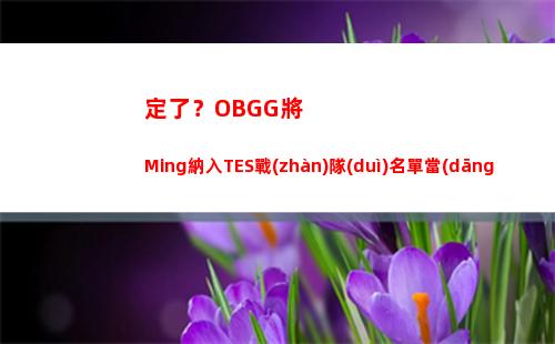 定了？OBGG將Ming納入TES戰(zhàn)隊(duì)名單當(dāng)中 同時(shí)Creme也在其中