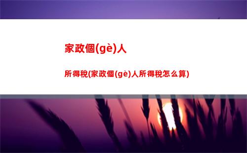 交納個(gè)人所得稅分錄(公司交納個(gè)人所得稅分錄)