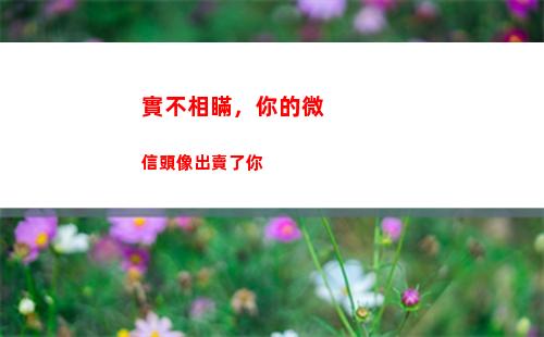 實不相瞞，你的微信頭像出賣了你(實不相瞞txt)