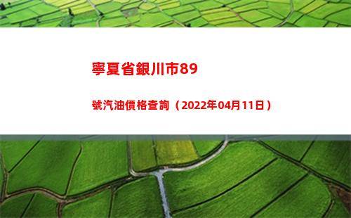 寧夏省銀川市89號汽油價格查詢（2022年04月11日）