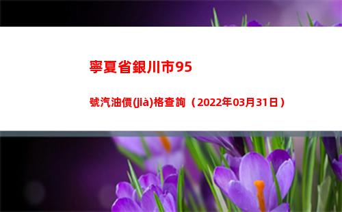 寧夏省銀川市95號汽油價(jià)格查詢（2022年03月31日）