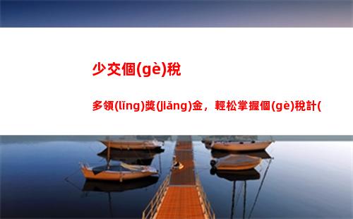 輕松匯交個(gè)稅，精準(zhǔn)計(jì)算每一分收入