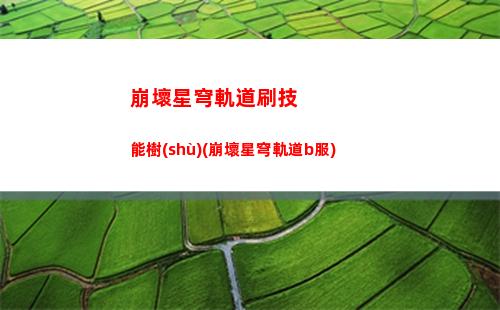 崩壞星穹軌道通緝照(崩壞之星穹軌道下載)